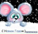 Фотография Настя Зарина