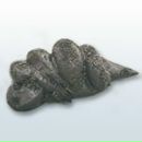 Вікторія Юхимець фотография #3 (источник - https://vk.com/id139737590)