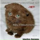 Фотография Chilikina Alexa