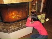 Фотография Сказки Лисы