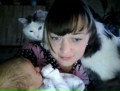 Фотография Журавель Тани