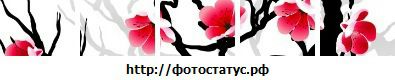 Віра Боднар фотография #1