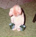 Віталій Ващук фотография #26 (источник - https://vk.com/id133056800)