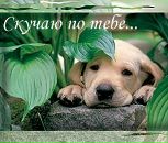 Вікуся Малиновська фотография #28 (источник - https://vk.com/id121377581)