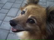 Сергій Іванюк фотография #8 (источник - https://vk.com/id87757685)