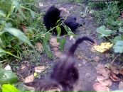 Іван Турчин фотография #21 (источник - https://vk.com/id12692263)