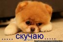 Славік Лилик фотография #37 (источник - https://vk.com/id114352158)