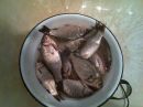 Іван Усков фотография #28 (источник - https://vk.com/id25965293)