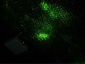 Михаил Кор фотография #32 (источник - https://vk.com/id8564320)