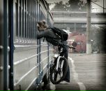 Фотография Юдиной Елены