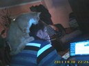Сергій Танчинець фотография #24 (источник - https://vk.com/id147523631)