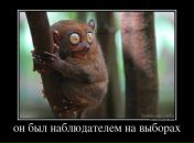 Дмитрий Ткаченко фотография #35 (источник - https://vk.com/id3008741)