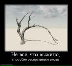 Юлія Платова фотография #24 (источник - https://vk.com/id10054746)