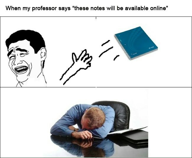 Синнэ Ёж фото №26