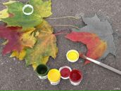 Вікторія Скіра фотография #39 (источник - https://vk.com/id105809773)