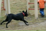 Вова Юрочкін фотография #40 (источник - https://vk.com/id15084244)