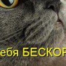 Діма Бричка фотография #18 (источник - https://vk.com/id137975523)