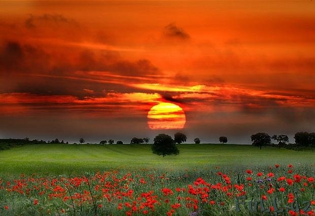 Александр Дидеев фотография #15