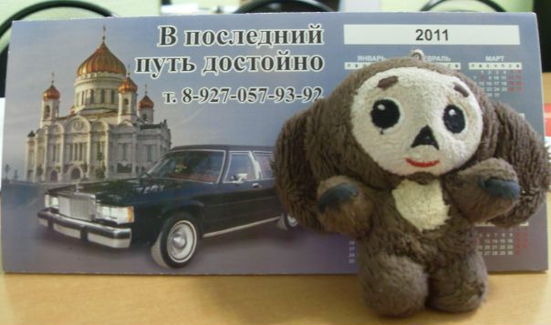 Че Бурашка фото №11