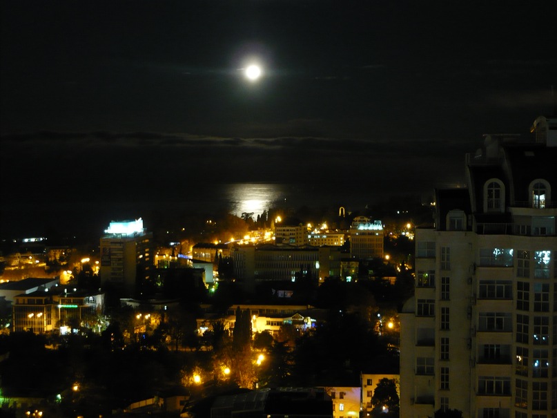 Дмитрий Горлов фотография #19
