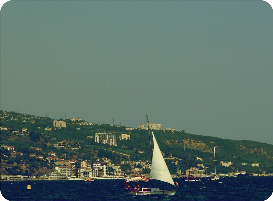 Дмитрий Додон фотография #17