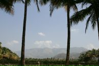 Даша Дашина фотография #36 (источник - https://vk.com/id2891457)