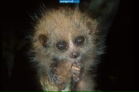 Фотография Макаревича Алексея