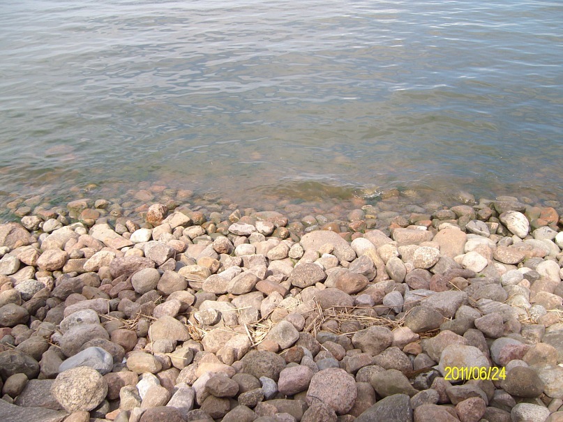 Венера Дмитриева фотография #45