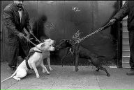 Ivan Odoevskiy фотография #14 (источник - https://vk.com/id382060728)