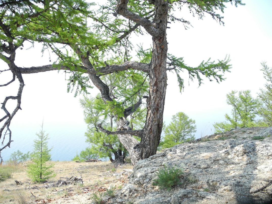 Дмитрий Алексеев фотография #39