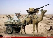 Фотография Межевитинова Антона