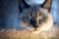 Фотография Мамлеевой Александры