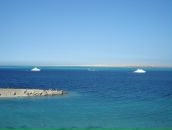 Фотография Петровой Ольги