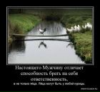 Світлана Пушкарська фотография #46 (источник - https://vk.com/id32784925)