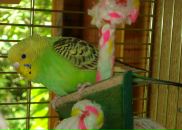 Фотография Soul Mute