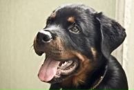 Фотография Машинина Михаила