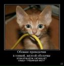 Фотография Толстова Дмитрия