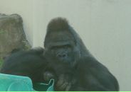 Фотография Сарбеева Сергея