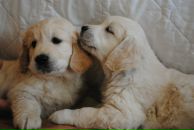 Фотография Вихровой Татьяны