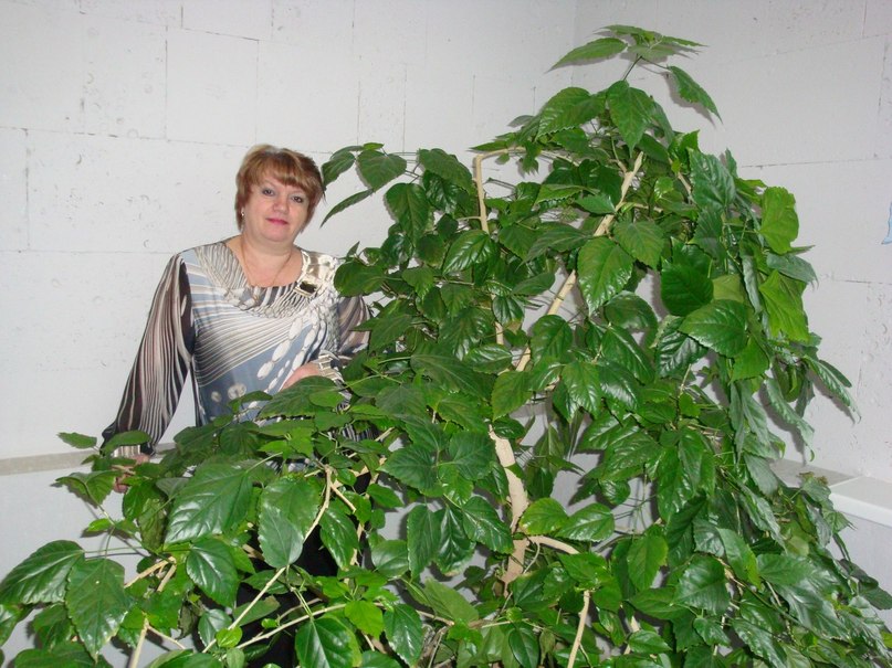 Елена Дубей фотография #22