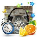 Alex Fox фотография #48 (источник - https://vk.com/id40662)