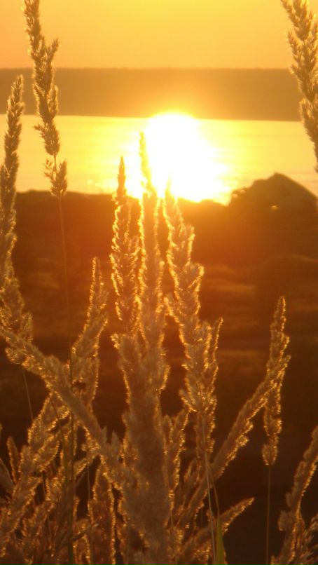 Гузель Кабирова фотография #12