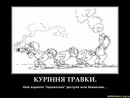 Віктор Іванюк фотография #44 (источник - https://vk.com/id139767005)
