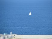 Фотография Солонин Александр