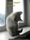 Міра Ставнича фотография #17 (источник - https://vk.com/id6229248)