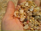 Фотография Сергеевны Дарьи