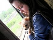 Фотография Марьяниной Александры