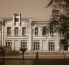 Фотография Cactus Алексея