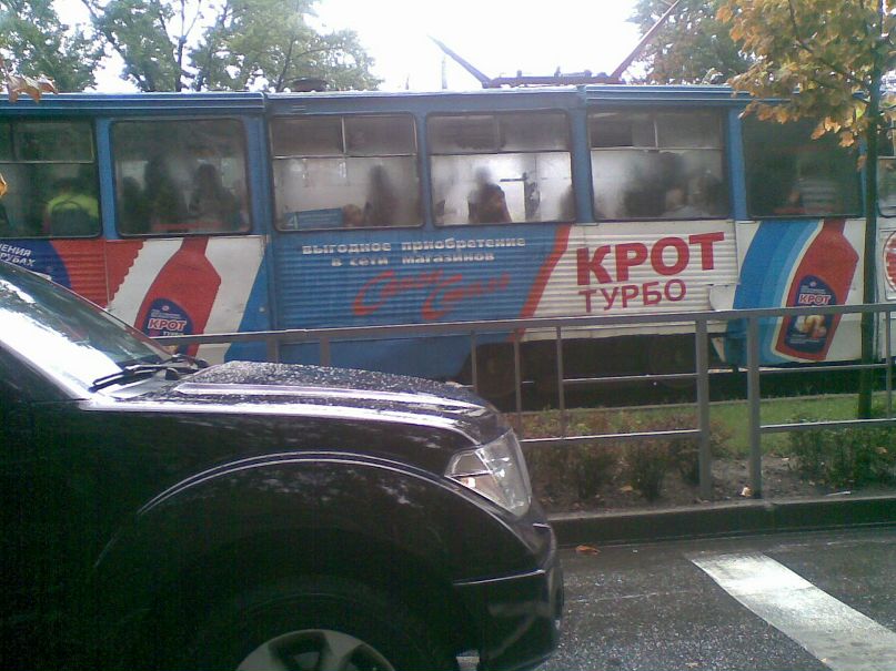 Антон Соларев фотография #14