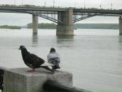 Фотография Городецкой Виктории